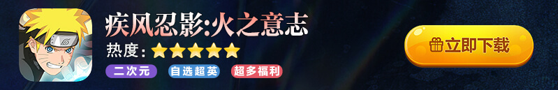 疾风忍影:火之意志